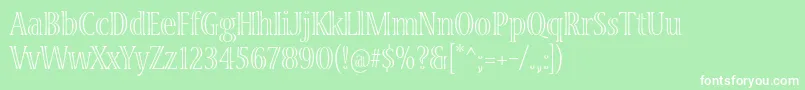 VivastdLightcondensed Font – White Fonts on Green Background