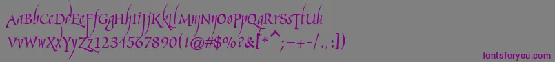 Marigoldwild-Schriftart – Violette Schriften auf grauem Hintergrund