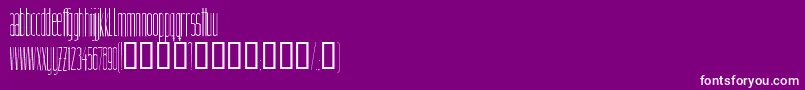Linnette Font – White Fonts on Purple Background