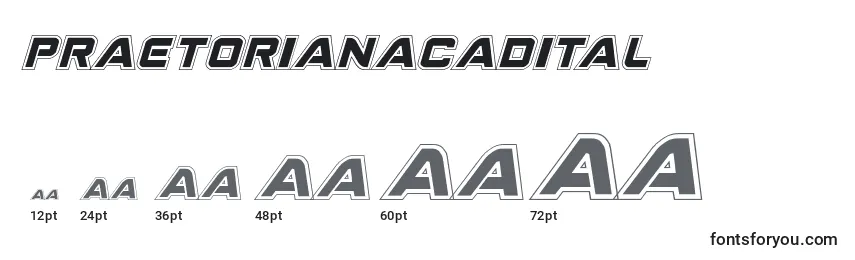 Размеры шрифта Praetorianacadital
