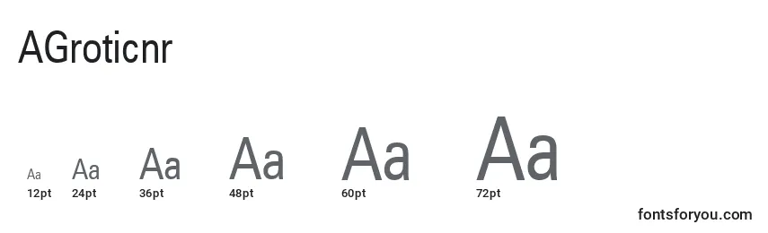 Размеры шрифта AGroticnr