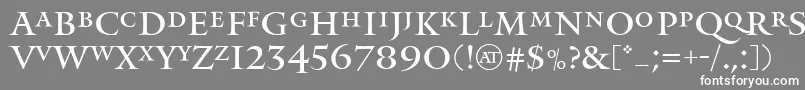 フォントMonumentRegular – 灰色の背景に白い文字