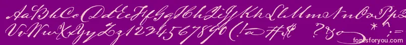 Lamarpen Font – Pink Fonts on Purple Background