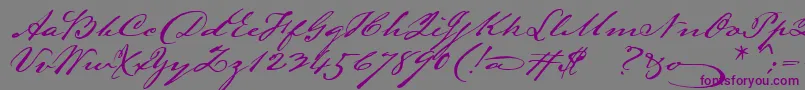 Weitere Informationen zur Lamarpen-Schriftart Lamarpen-Schriftart – Violette Schriften auf grauem Hintergrund