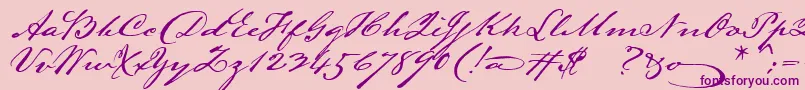 Lamarpen Font – Purple Fonts on Pink Background