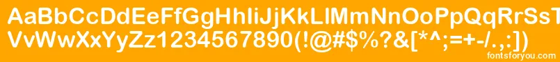 フォントArialRoundedWglBold – オレンジの背景に白い文字