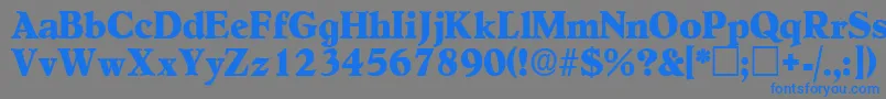 NegotiatdisplaysskRegular Font – Blue Fonts on Gray Background