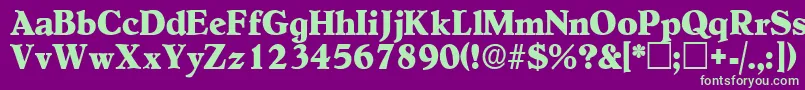 NegotiatdisplaysskRegular Font – Green Fonts on Purple Background