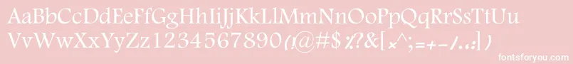 MotkenKFarnaz Font – White Fonts on Pink Background