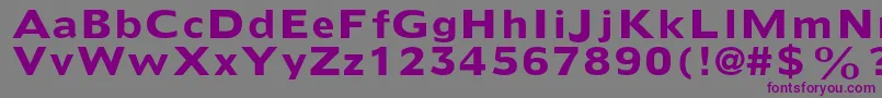 DoricltstdBold Font – Purple Fonts on Gray Background