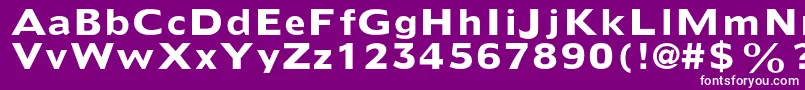 DoricltstdBold Font – White Fonts on Purple Background