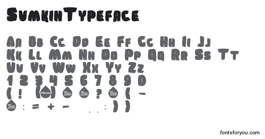 A fonte SumkinTypeface – alfabeto, números, caracteres especiais