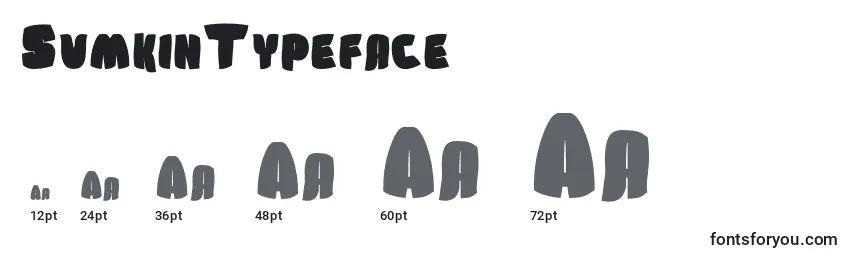 Размеры шрифта SumkinTypeface