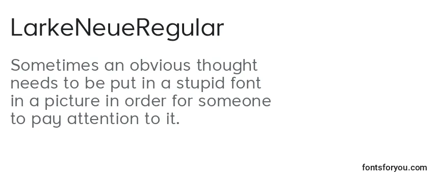 Review of the LarkeNeueRegular Font