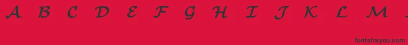 EuclidMathOneBold Font – Black Fonts on Red Background