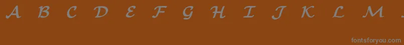 フォントEuclidMathOneBold – 茶色の背景に灰色の文字