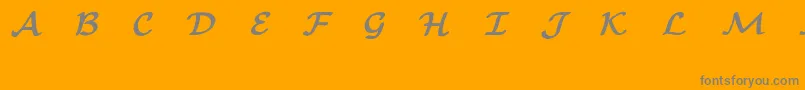 EuclidMathOneBold-Schriftart – Graue Schriften auf orangefarbenem Hintergrund