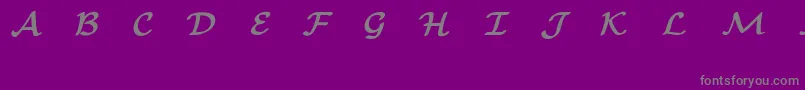 EuclidMathOneBold Font – Gray Fonts on Purple Background