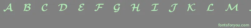 フォントEuclidMathOneBold – 灰色の背景に緑のフォント