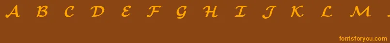 フォントEuclidMathOneBold – オレンジ色の文字が茶色の背景にあります。