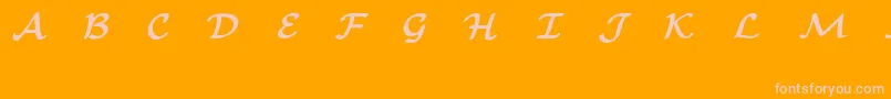 EuclidMathOneBold-Schriftart – Rosa Schriften auf orangefarbenem Hintergrund