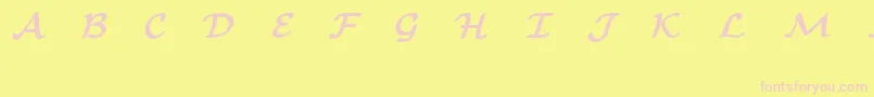 EuclidMathOneBold Font – Pink Fonts on Yellow Background