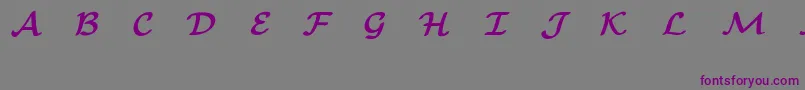 EuclidMathOneBold Font – Purple Fonts on Gray Background