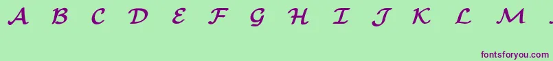 EuclidMathOneBold Font – Purple Fonts on Green Background