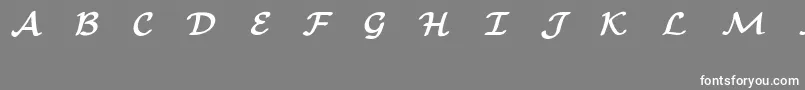 フォントEuclidMathOneBold – 灰色の背景に白い文字