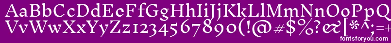 InknutantiquaLight Font – White Fonts on Purple Background