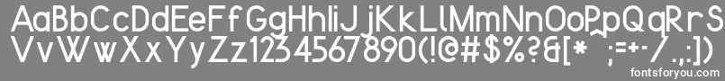 KentekenSmits2013 Font – White Fonts on Gray Background