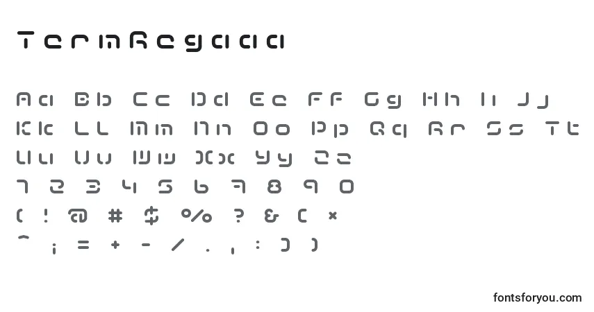 Schriftart TermRegaaa – Alphabet, Zahlen, spezielle Symbole