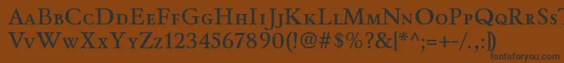 WinthorpescsbRegular Font – Black Fonts on Brown Background