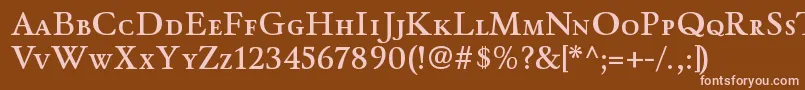 WinthorpescsbRegular Font – Pink Fonts on Brown Background