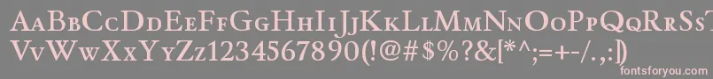 WinthorpescsbRegular Font – Pink Fonts on Gray Background