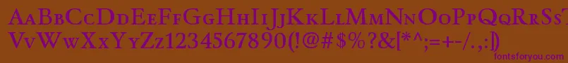 WinthorpescsbRegular Font – Purple Fonts on Brown Background