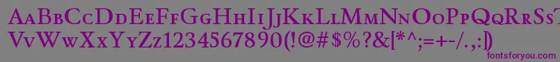WinthorpescsbRegular Font – Purple Fonts on Gray Background