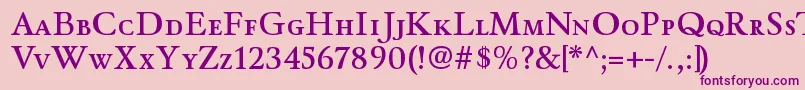 WinthorpescsbRegular Font – Purple Fonts on Pink Background