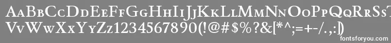 フォントWinthorpescsbRegular – 灰色の背景に白い文字