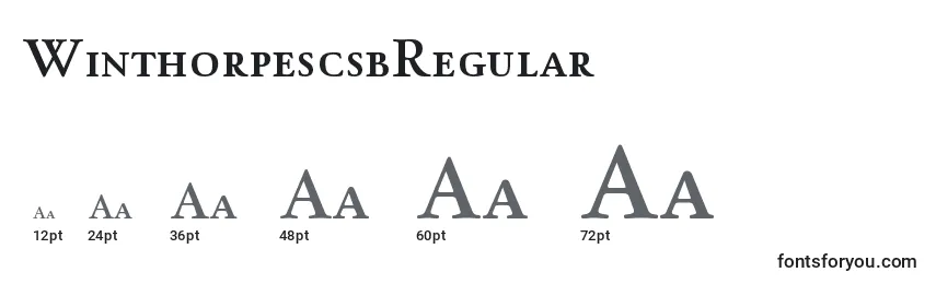 WinthorpescsbRegular Font Sizes