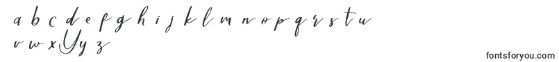 Yellovedemo-Schriftart – Schriftarten, die mit Y beginnen