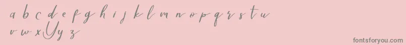 Yellovedemo-Schriftart – Graue Schriften auf rosa Hintergrund