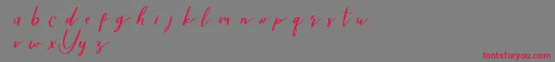 Yellovedemo Font – Red Fonts on Gray Background