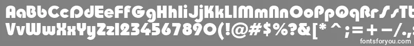 フォントTaurusheavy – 灰色の背景に白い文字