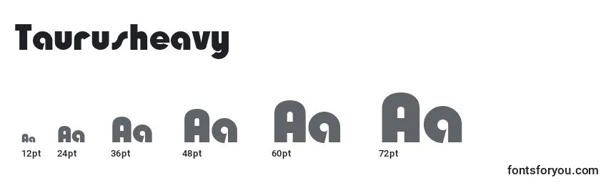 Taurusheavy Font Sizes
