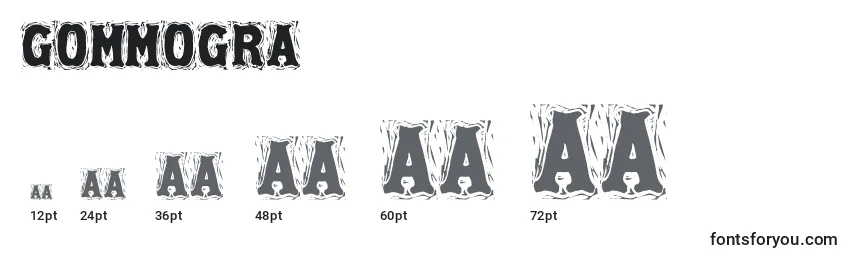 Размеры шрифта Gommogra (49047)