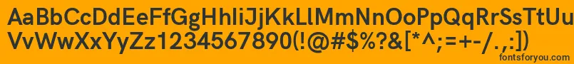 HkgroteskBold Font – Black Fonts on Orange Background