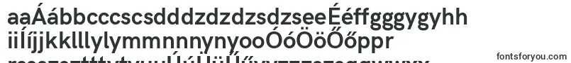 Шрифт HkgroteskBold – венгерские шрифты