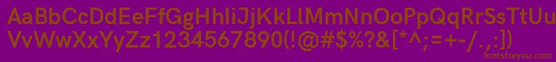 HkgroteskBold Font – Brown Fonts on Purple Background