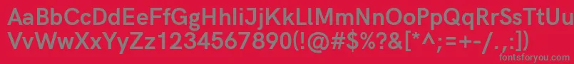 HkgroteskBold Font – Gray Fonts on Red Background